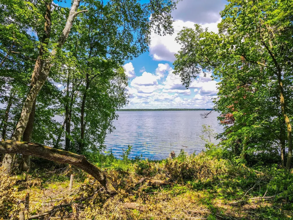 44698 Idas Road Osage MN 56570