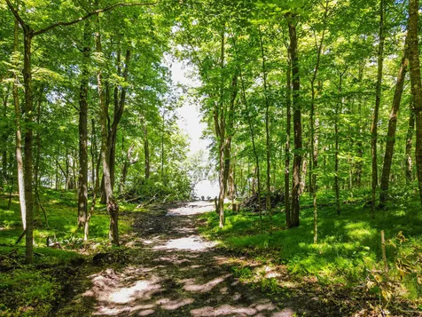 44698 Idas Road Osage MN 56570