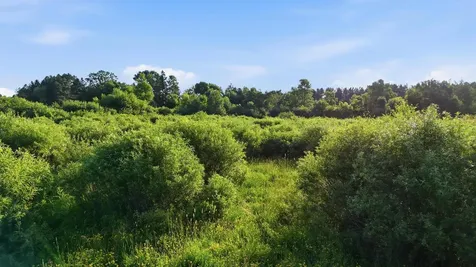 4832 Florence Drive Moose Lake MN 55767