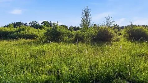 4832 Florence Drive Moose Lake MN 55767