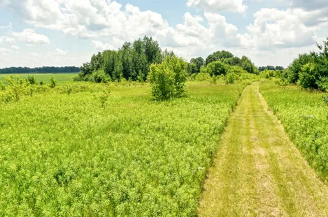 Tbd 555th Street Rush City MN 55069