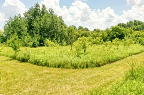 Tbd 555th Street Rush City MN 55069