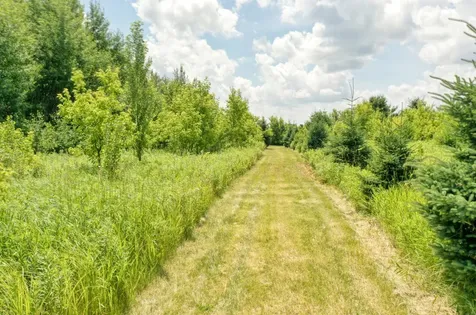 Tbd 555th Street Rush City MN 55069