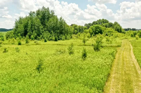 Tbd 555th Street Rush City MN 55069