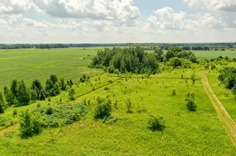 Tbd 555th Street Rush City MN 55069