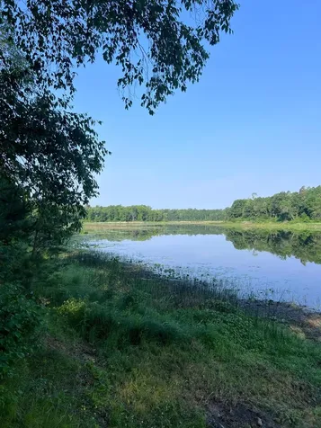 12779 Buckhorn Trail Menahga MN 56464