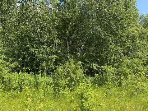 32723 125th Avenue Onamia MN 56359
