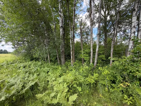 32723 125th Avenue Onamia MN 56359