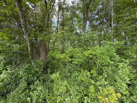 32723 125th Avenue Onamia MN 56359