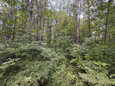 32723 125th Avenue Onamia MN 56359