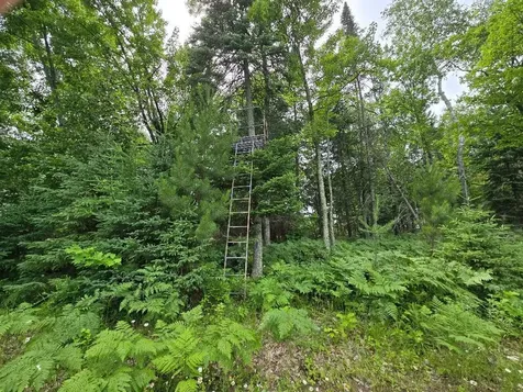 Tbd S Little Boy Drive NE Longville MN 56655