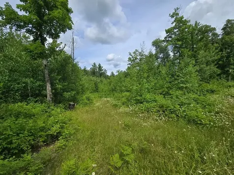 Tbd S Little Boy Drive NE Longville MN 56655