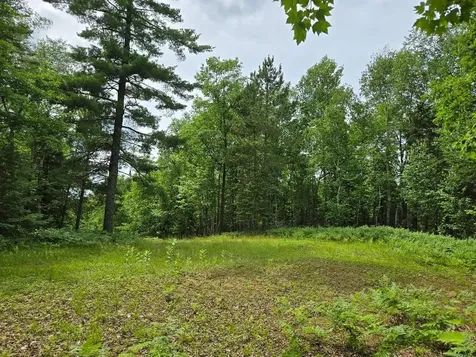 Tbd S Little Boy Drive NE Longville MN 56655