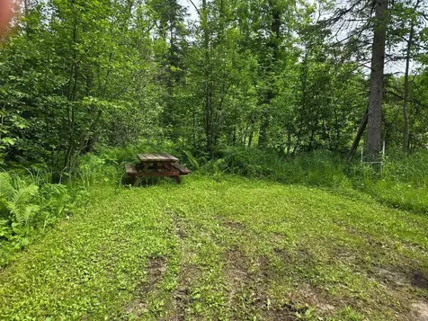Tbd S Little Boy Drive NE Longville MN 56655