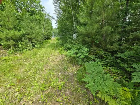 Tbd S Little Boy Drive NE Longville MN 56655