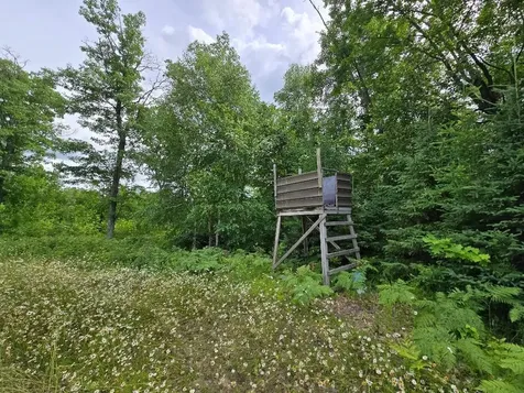 Tbd S Little Boy Drive NE Longville MN 56655