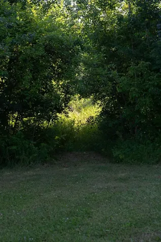 43231 County Highway 61 Hinckley MN 55037