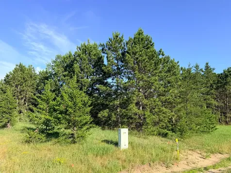 Tbd 372nd Street Menahga MN 56464