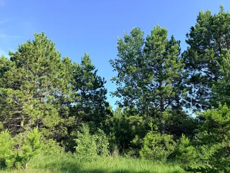 Tbd 372nd Street Menahga MN 56464