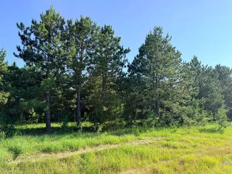 Tbd 372nd Street Menahga MN 56464