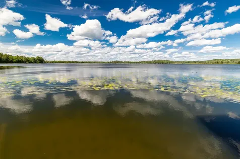 10452 Orchard Park Lane SW Pillager MN 56473