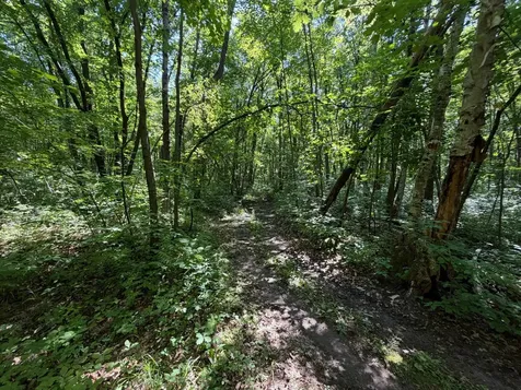 36684 100th Avenue Onamia MN 56359