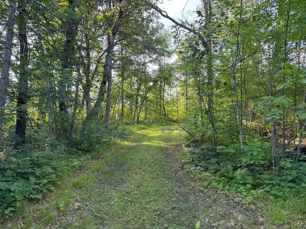 TBD-1 N Riverside Road Moose Lake MN 55767