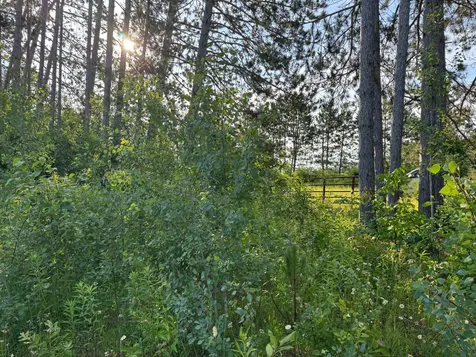 TBD-1 N Riverside Road Moose Lake MN 55767
