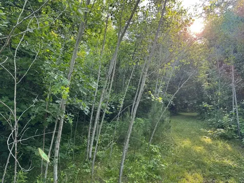 TBD-1 N Riverside Road Moose Lake MN 55767