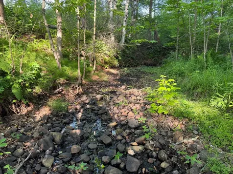 TBD-1 N Riverside Road Moose Lake MN 55767