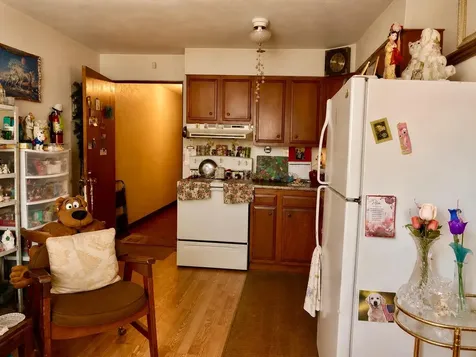 217 & 219 3rd Street NW Bemidji MN 56601