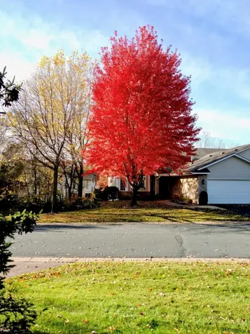 12783 Falcon Drive Apple Valley MN 55124