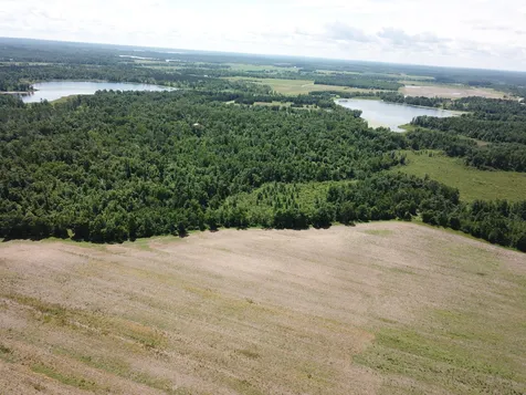 Tbd Boot Lake Road SW Bemidji MN 56601
