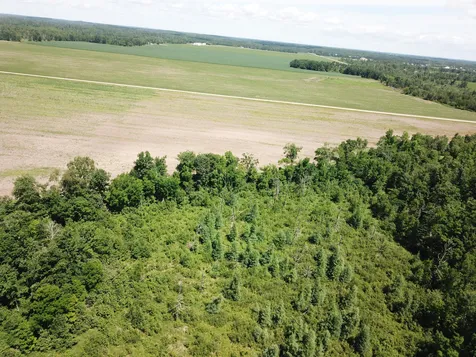 Tbd Boot Lake Road SW Bemidji MN 56601
