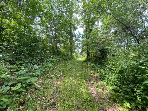 Tbd Boot Lake Road SW Bemidji MN 56601