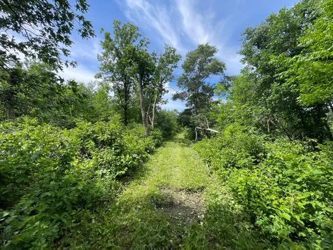 Tbd Boot Lake Road SW Bemidji MN 56601