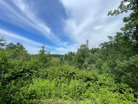 Tbd Boot Lake Road SW Bemidji MN 56601