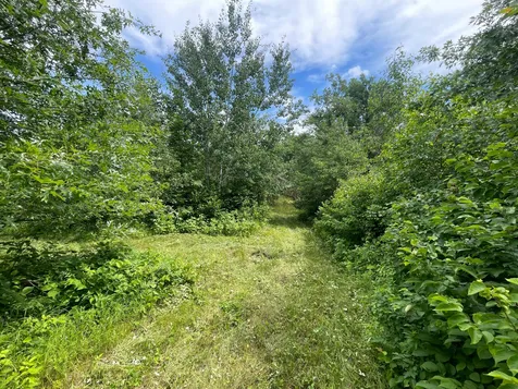 Tbd Boot Lake Road SW Bemidji MN 56601