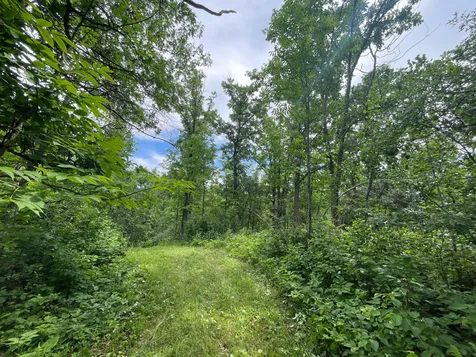 Tbd Boot Lake Road SW Bemidji MN 56601