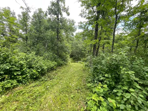 Tbd Boot Lake Road SW Bemidji MN 56601