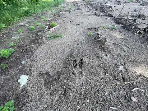 Tbd Boot Lake Road SW Bemidji MN 56601