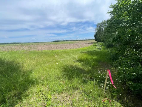 Tbd Boot Lake Road SW Bemidji MN 56601