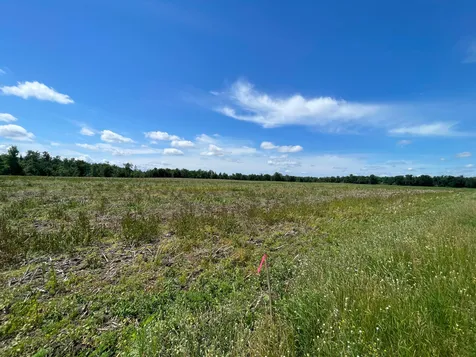 Tbd Boot Lake Road SW Bemidji MN 56601