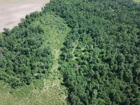 Tbd Boot Lake Road SW Bemidji MN 56601