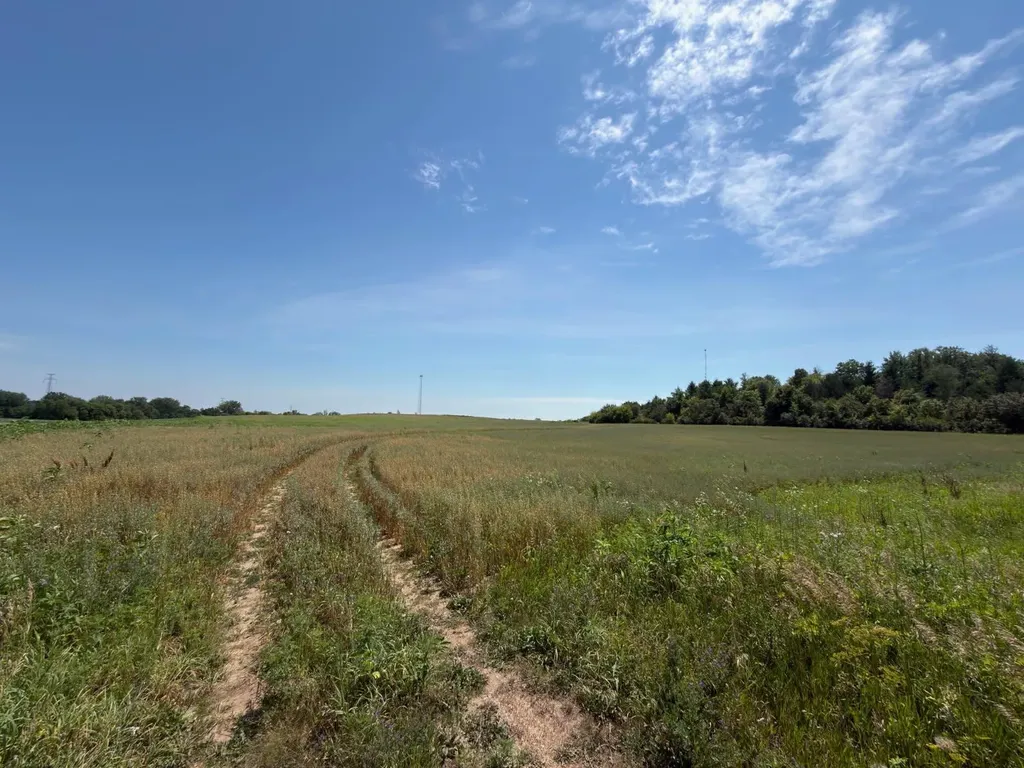 Xxxxx Mn Highway 15 Dassel MN 55325