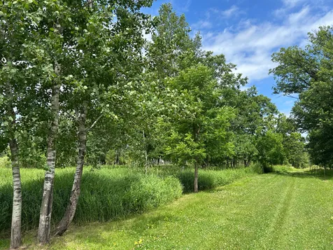 11XXX State Highway 65 Mcgrath MN 56350