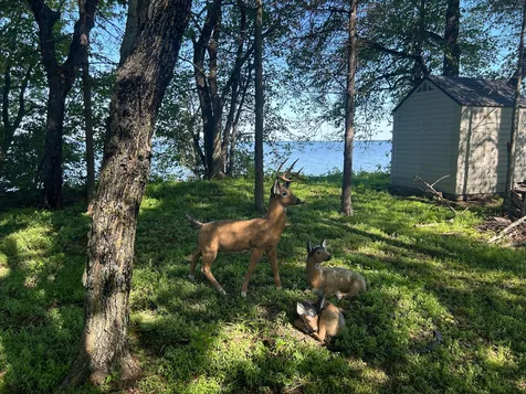 20796 326th Place Isle MN 56342