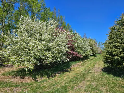 25759 State Highway 55 Lowry MN 56349