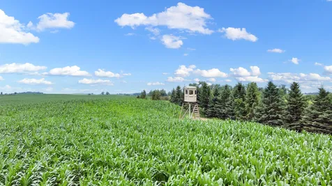 25759 State Highway 55 Lowry MN 56349