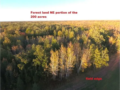 12201 E Haukkila Road Maple WI 54854